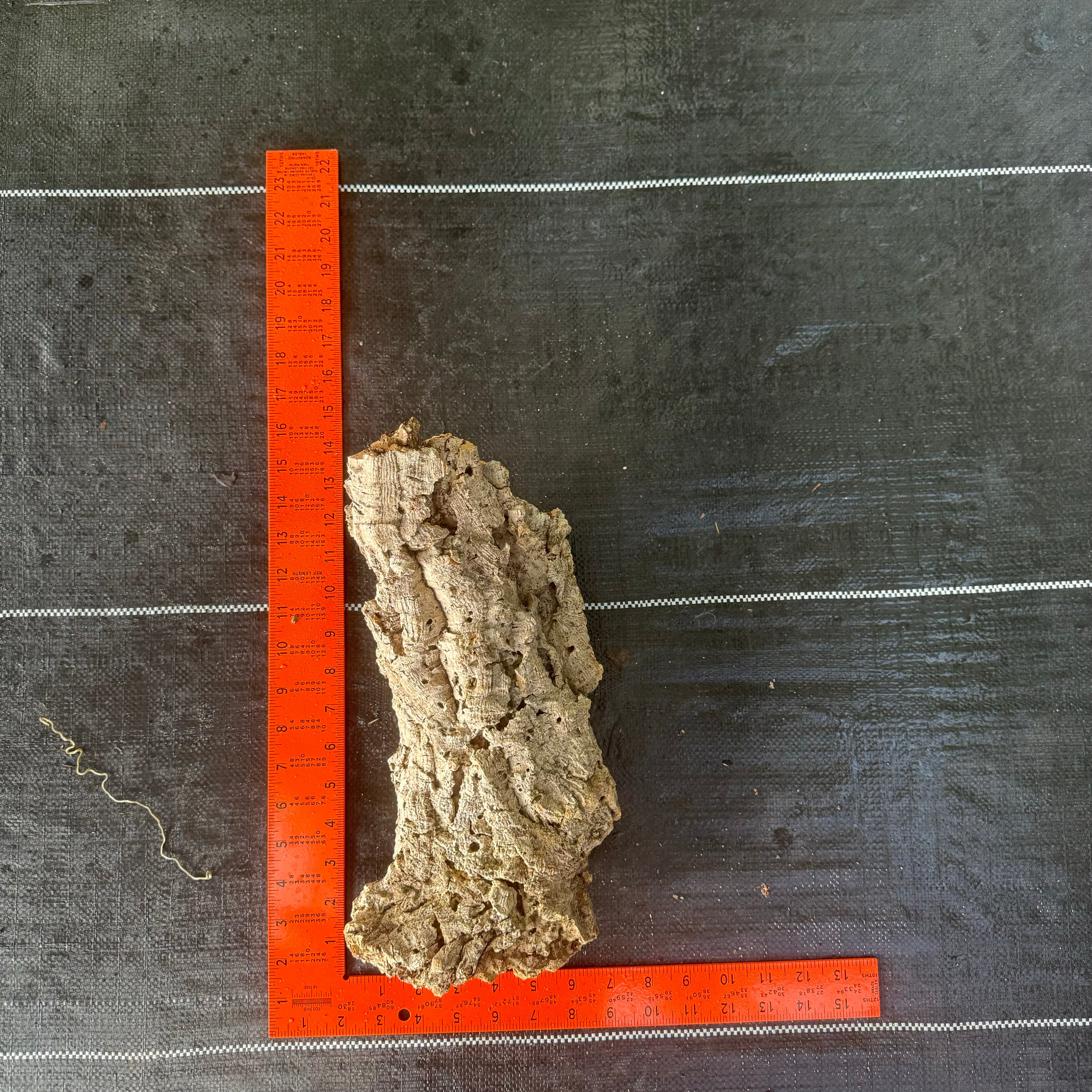 XL Cork Bark Slabs- Choose Your Mount