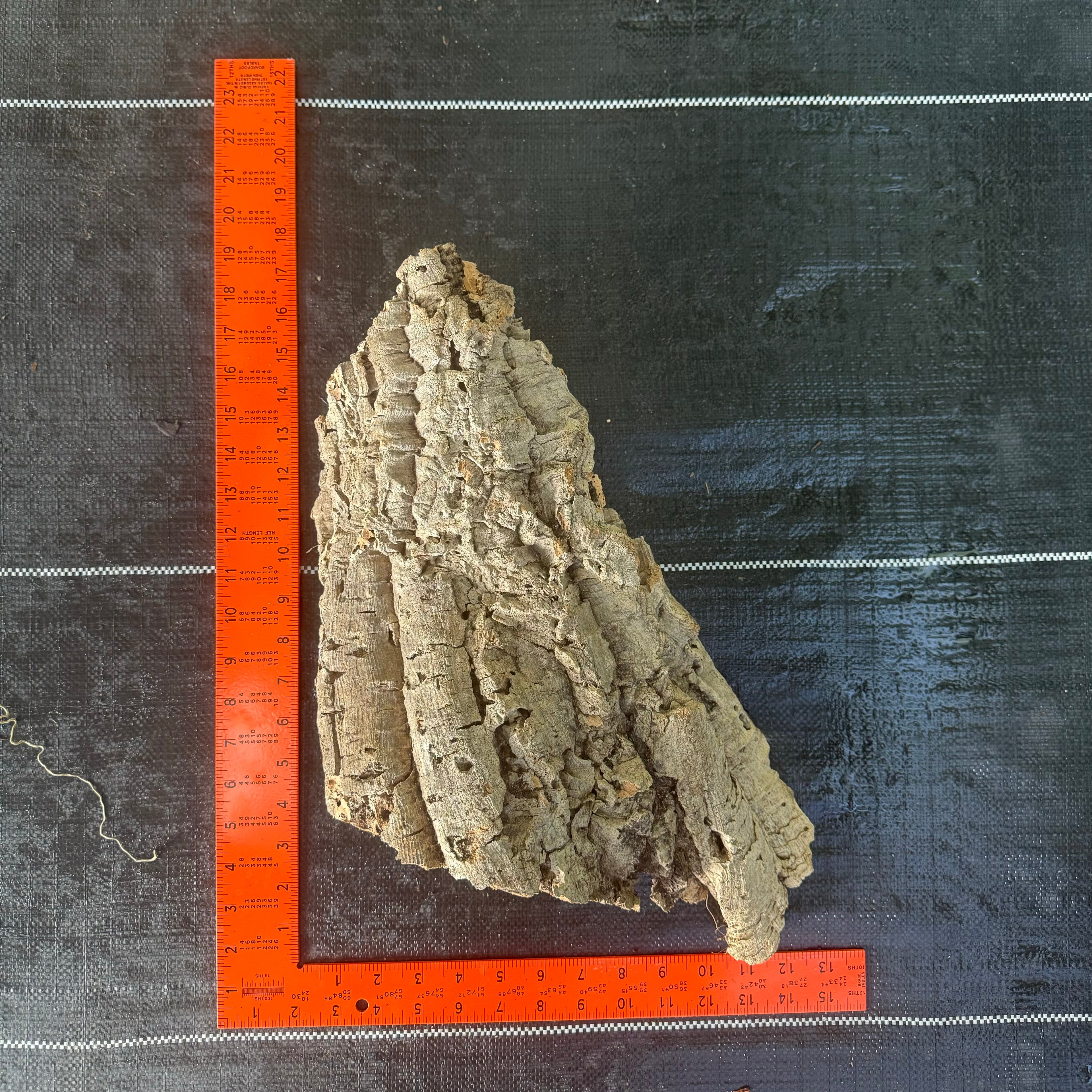 XL Cork Bark Slabs- Choose Your Mount
