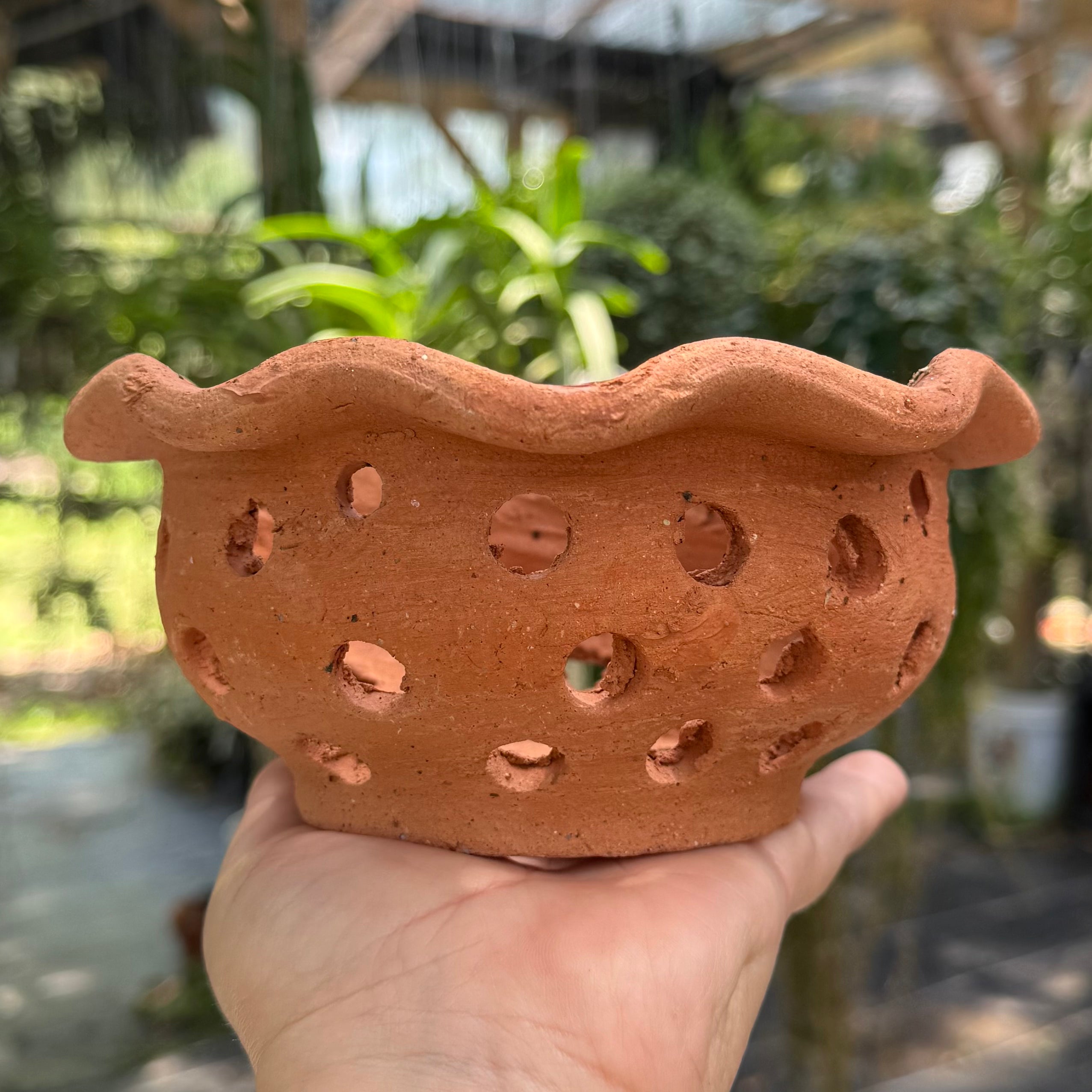 6” Clay Orchid Pots with holes- Various Designs