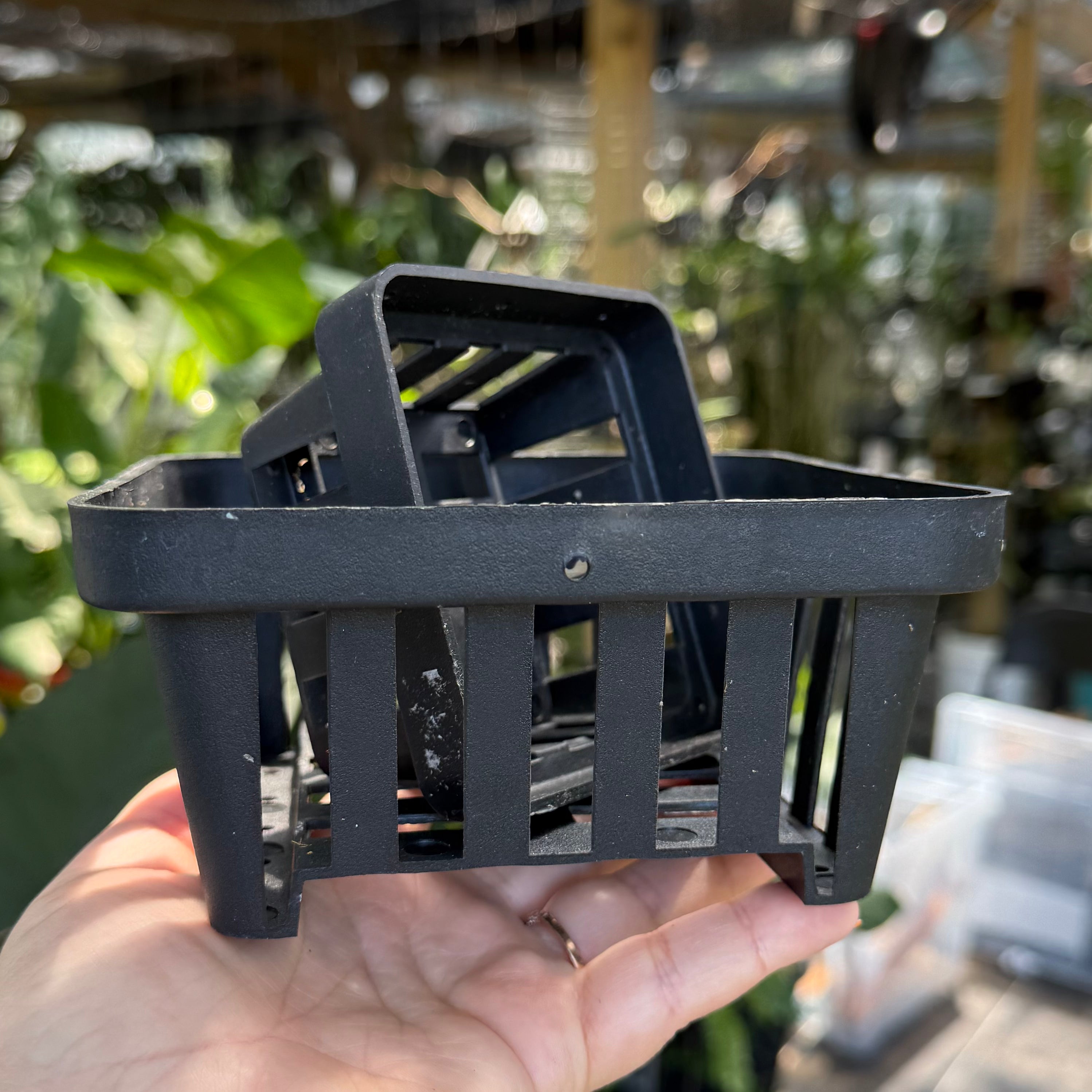Thai Orchid Basket/ Square Vanda Baskets