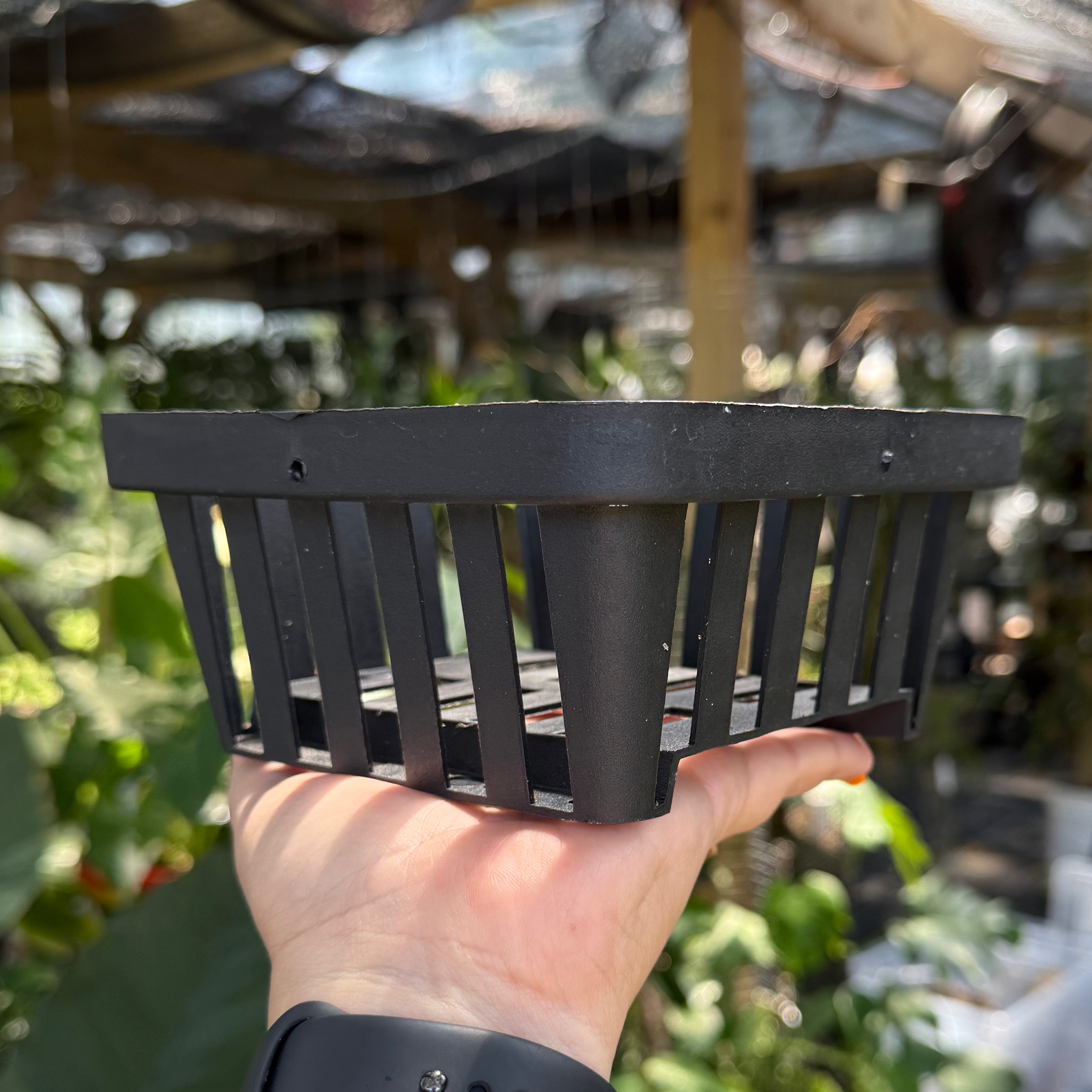 Thai Orchid Basket/ Square Vanda Baskets