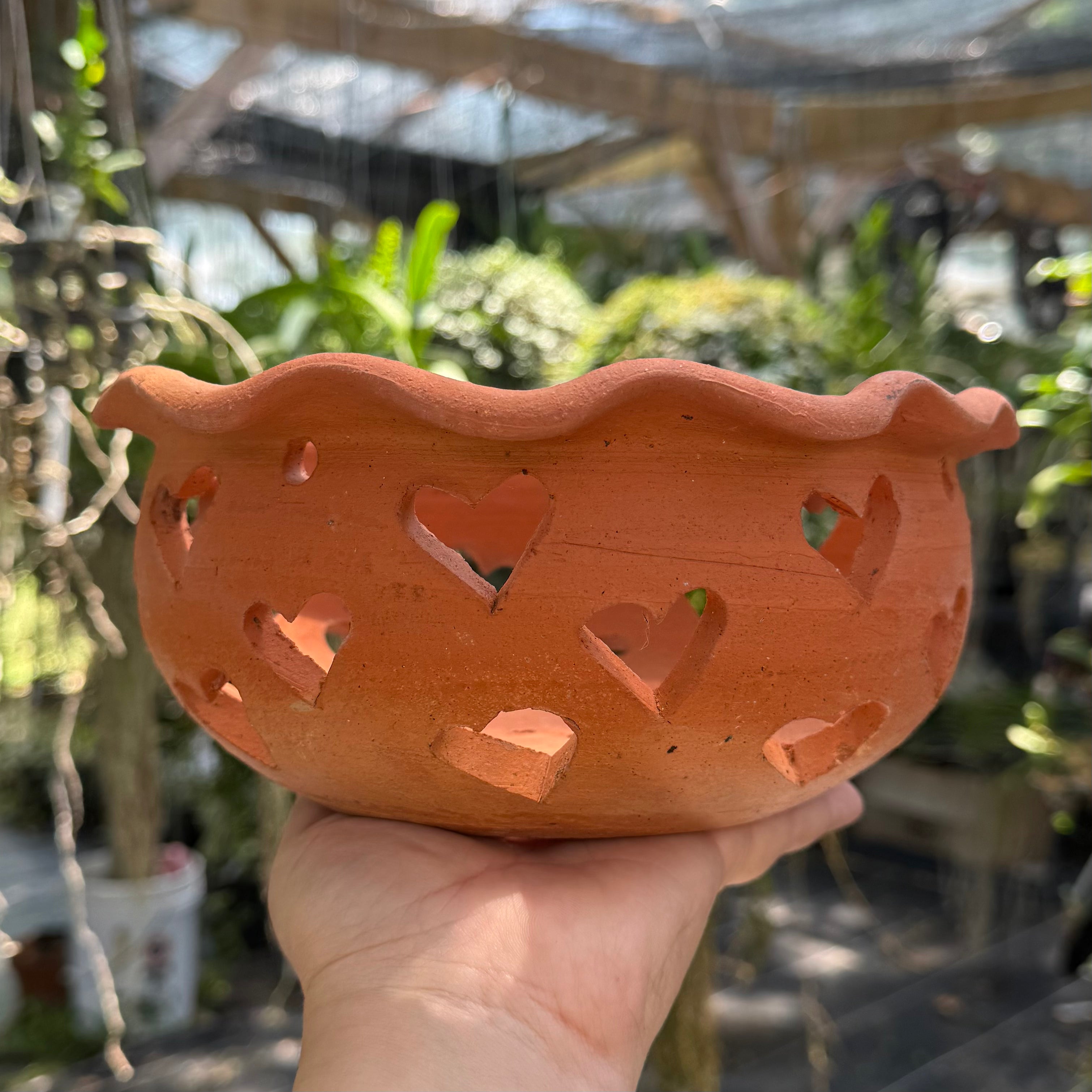 8” Clay Orchid Pots with holes- Various Designs