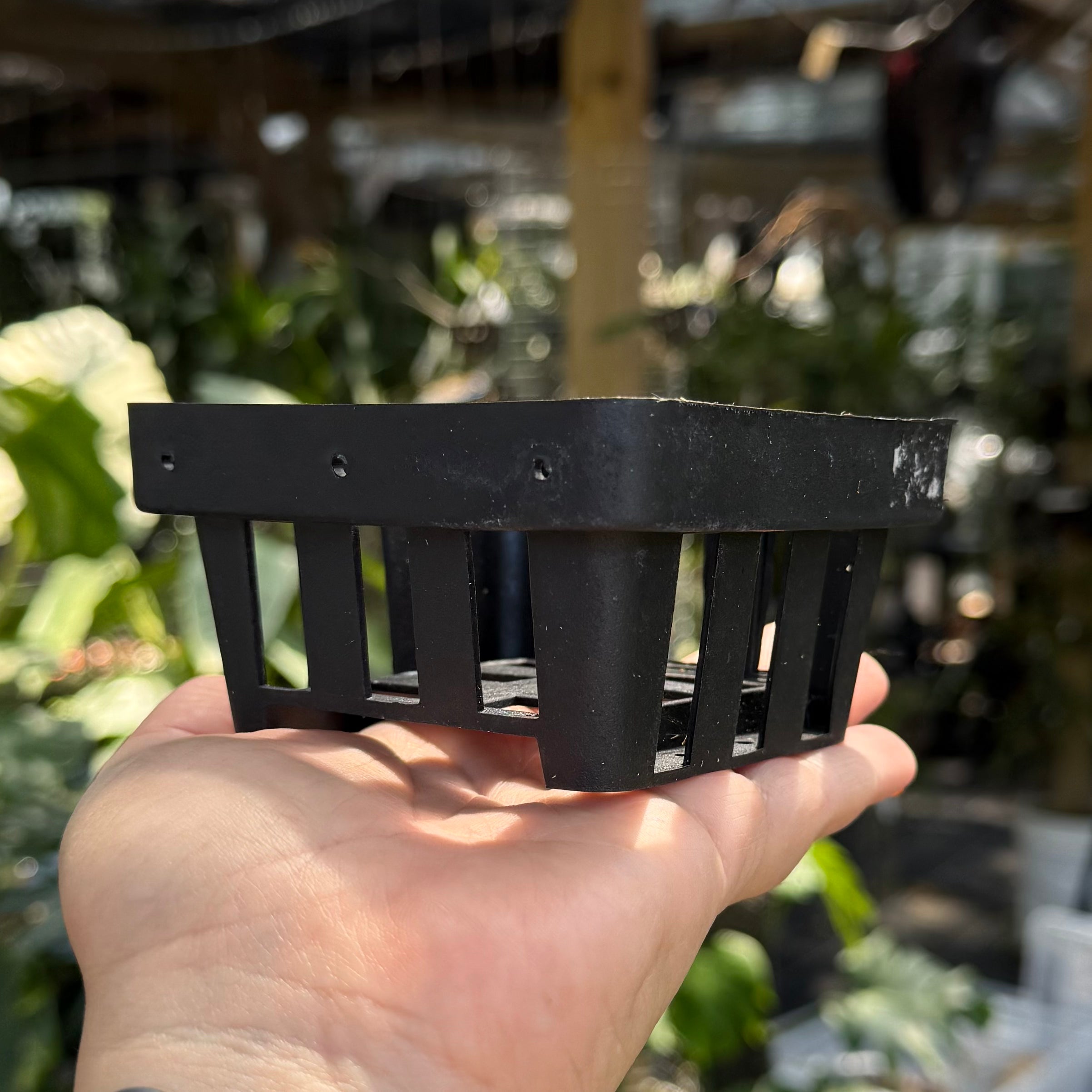 Thai Orchid Basket/ Square Vanda Baskets