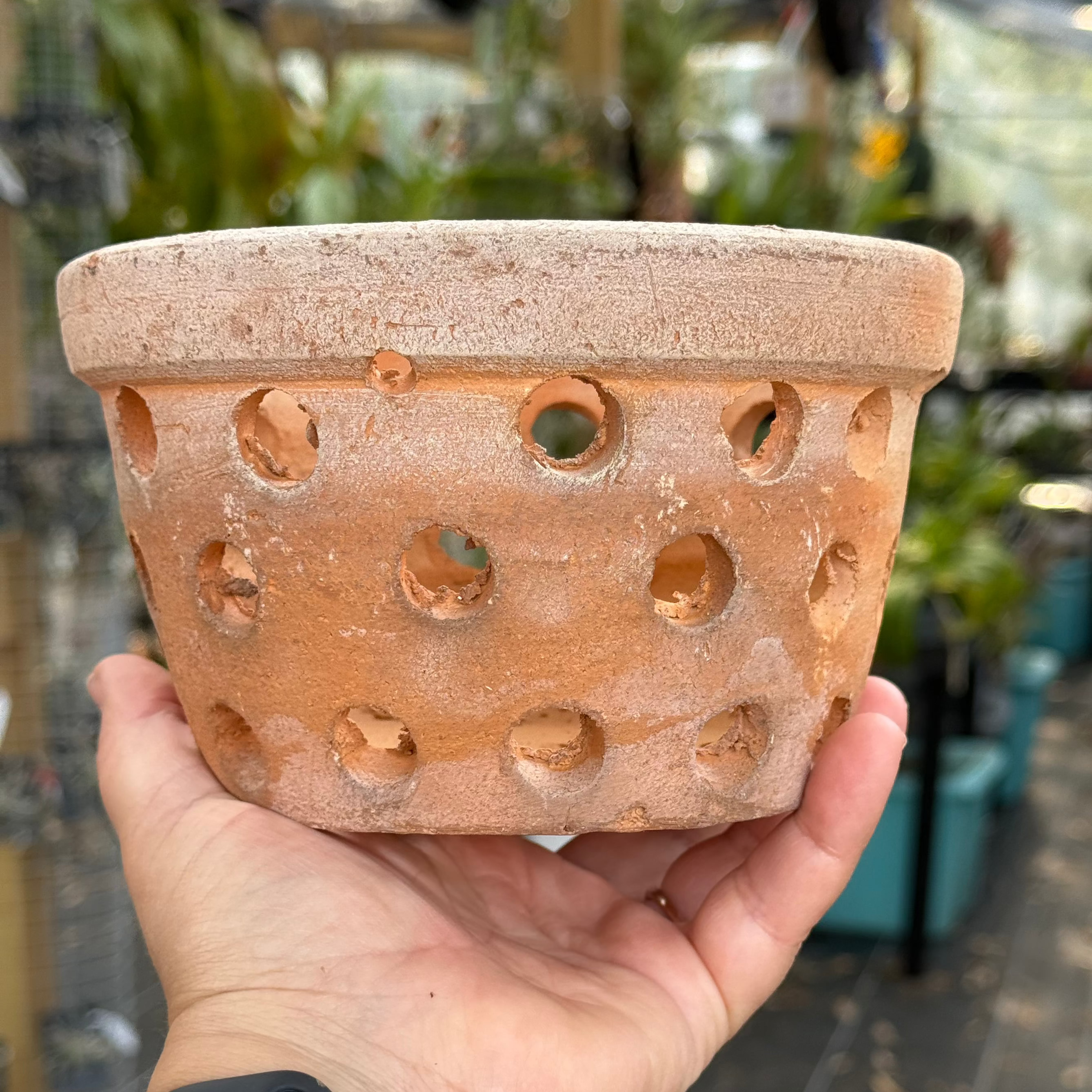 6” Clay Orchid Pots with holes- Various Designs