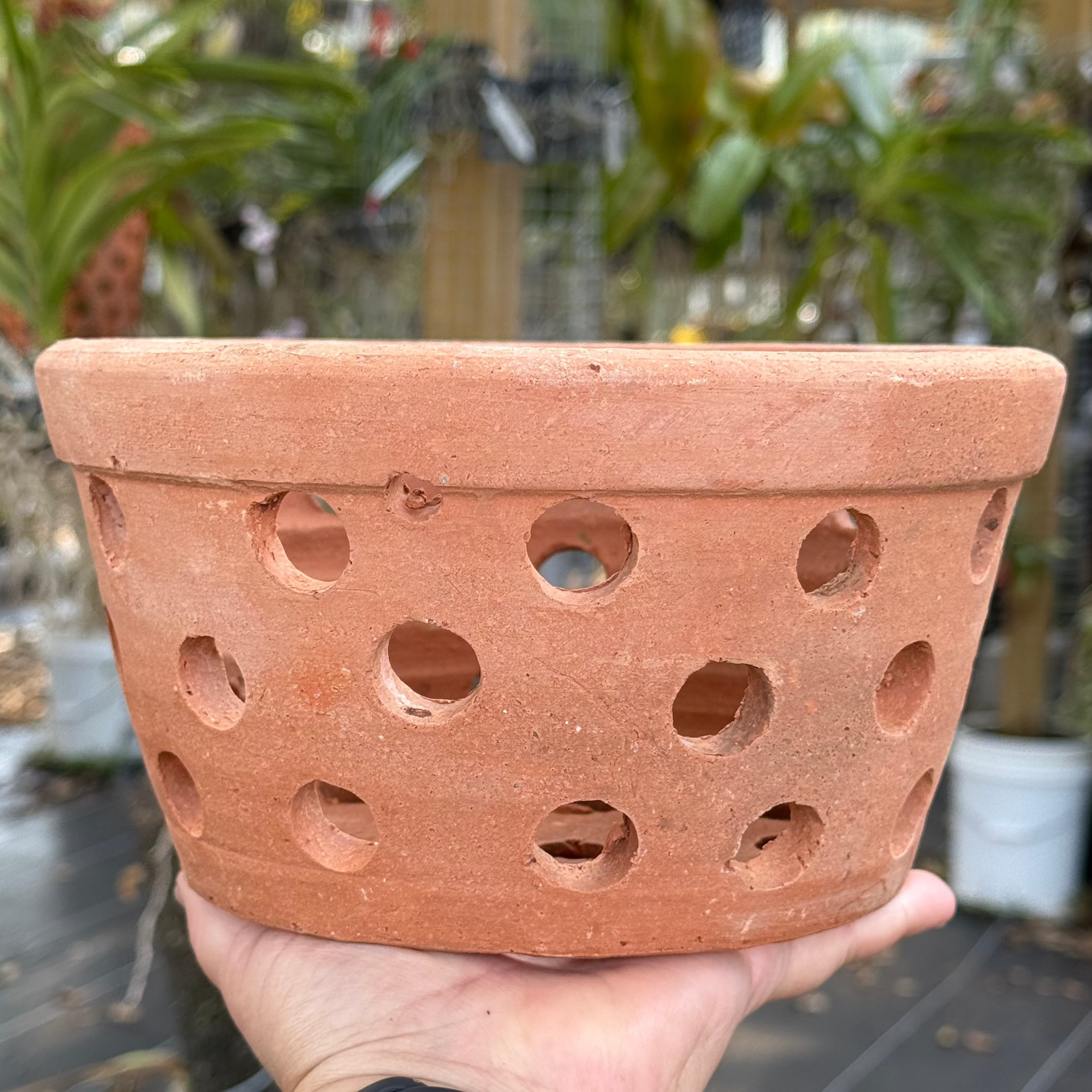 8” Clay Orchid Pots with holes- Various Designs