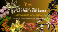 Catasetum Orchid Care