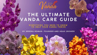 Vanda Care: Basics: Watering