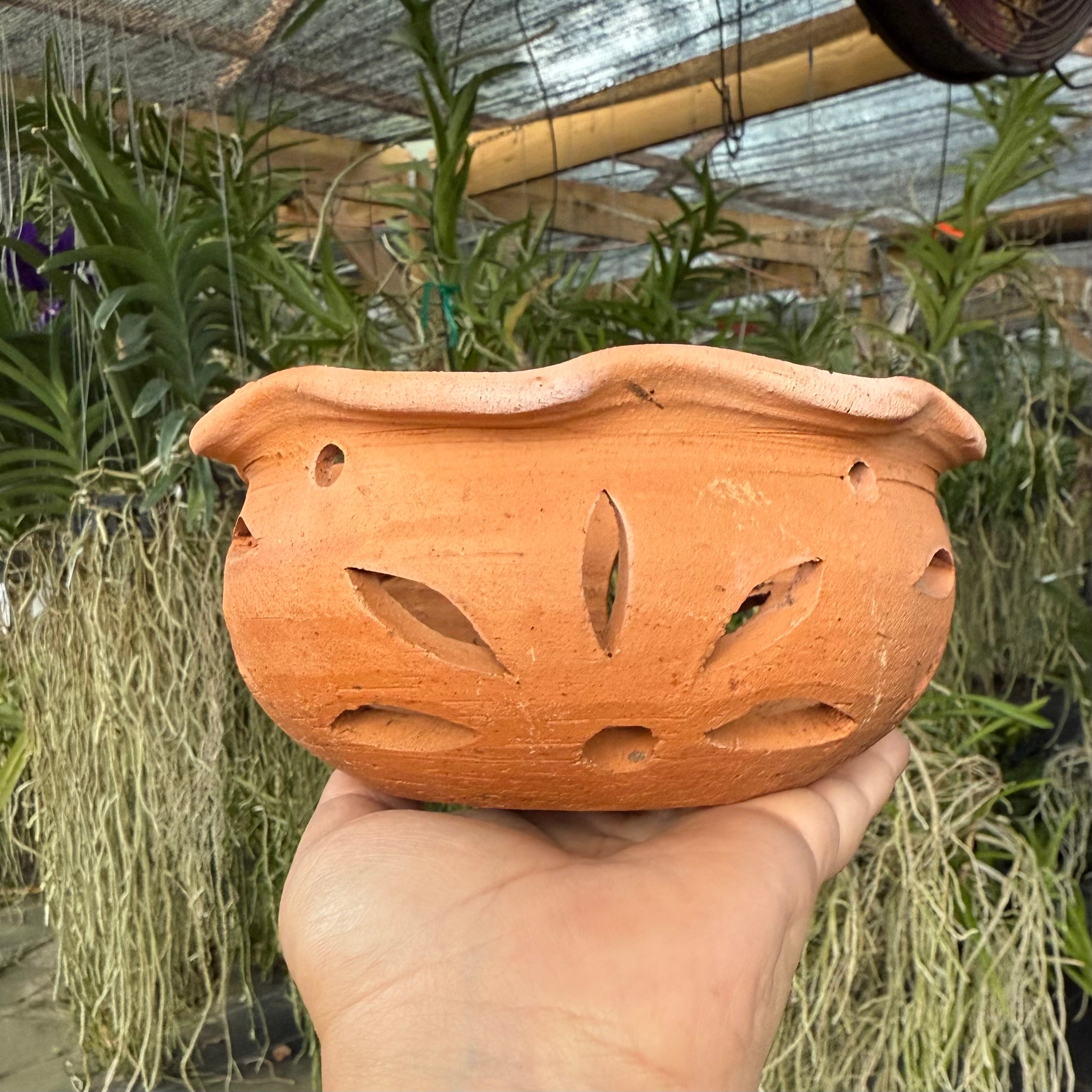 6” Clay Orchid Pots with holes- Various Designs