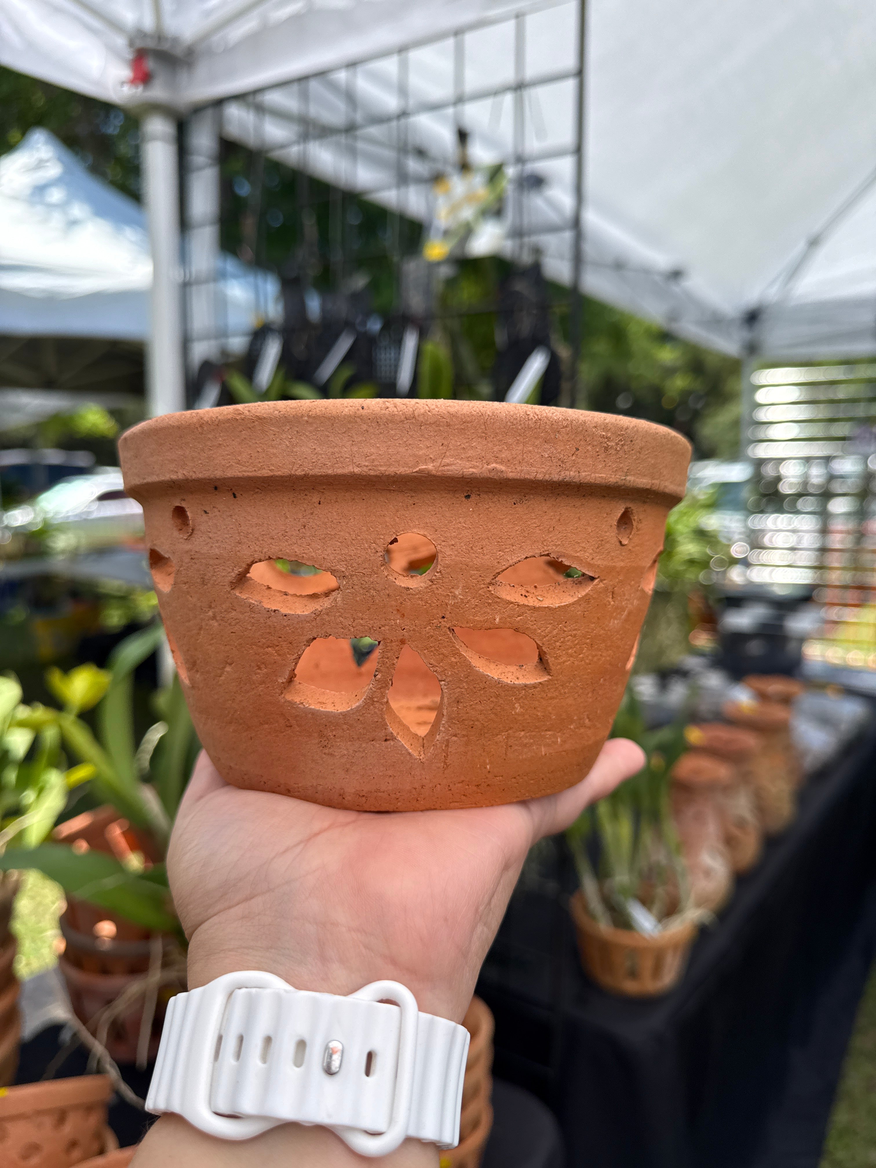 6” Clay Orchid Pots with holes- Various Designs