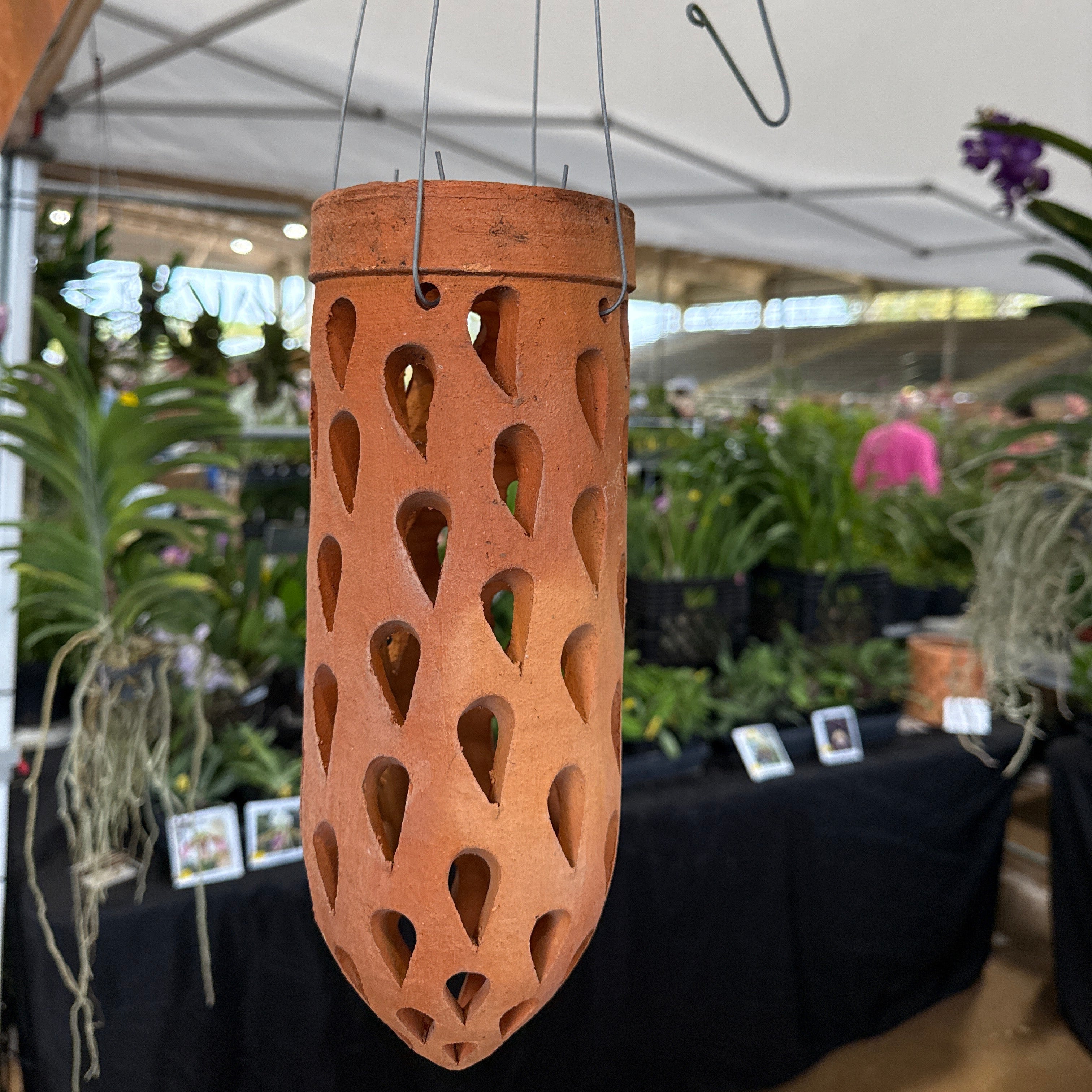 Orchid Cone- Hanging Mounts- Various Designs