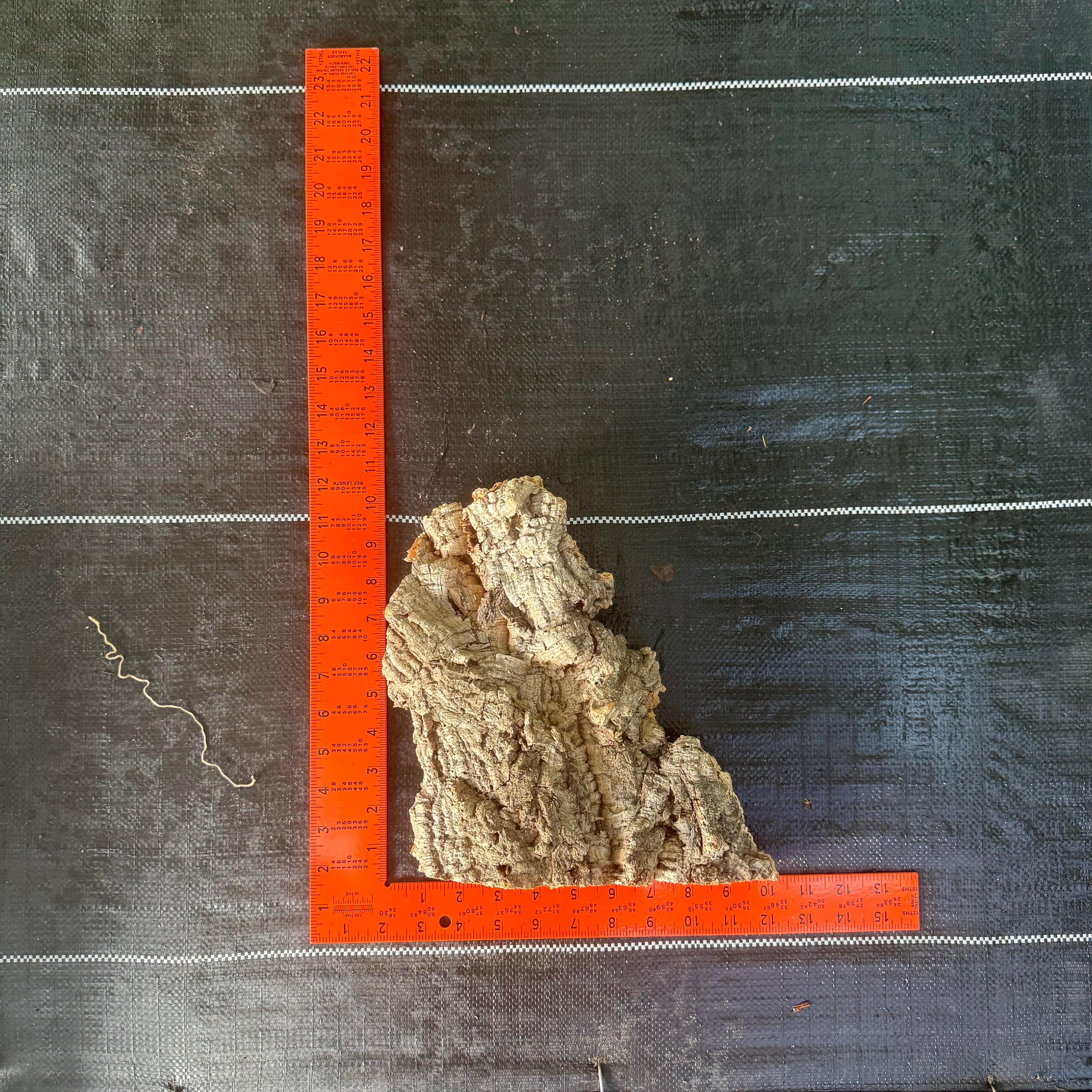 XL Cork Bark Slabs- Choose Your Mount