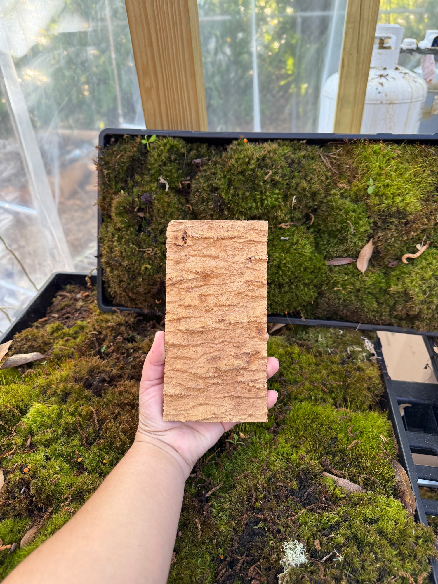 Cork Bark- Flats 4”x 7.5”