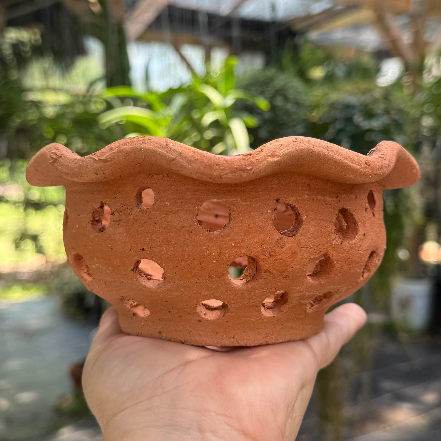 6” Clay Orchid Pots with holes- Various Designs