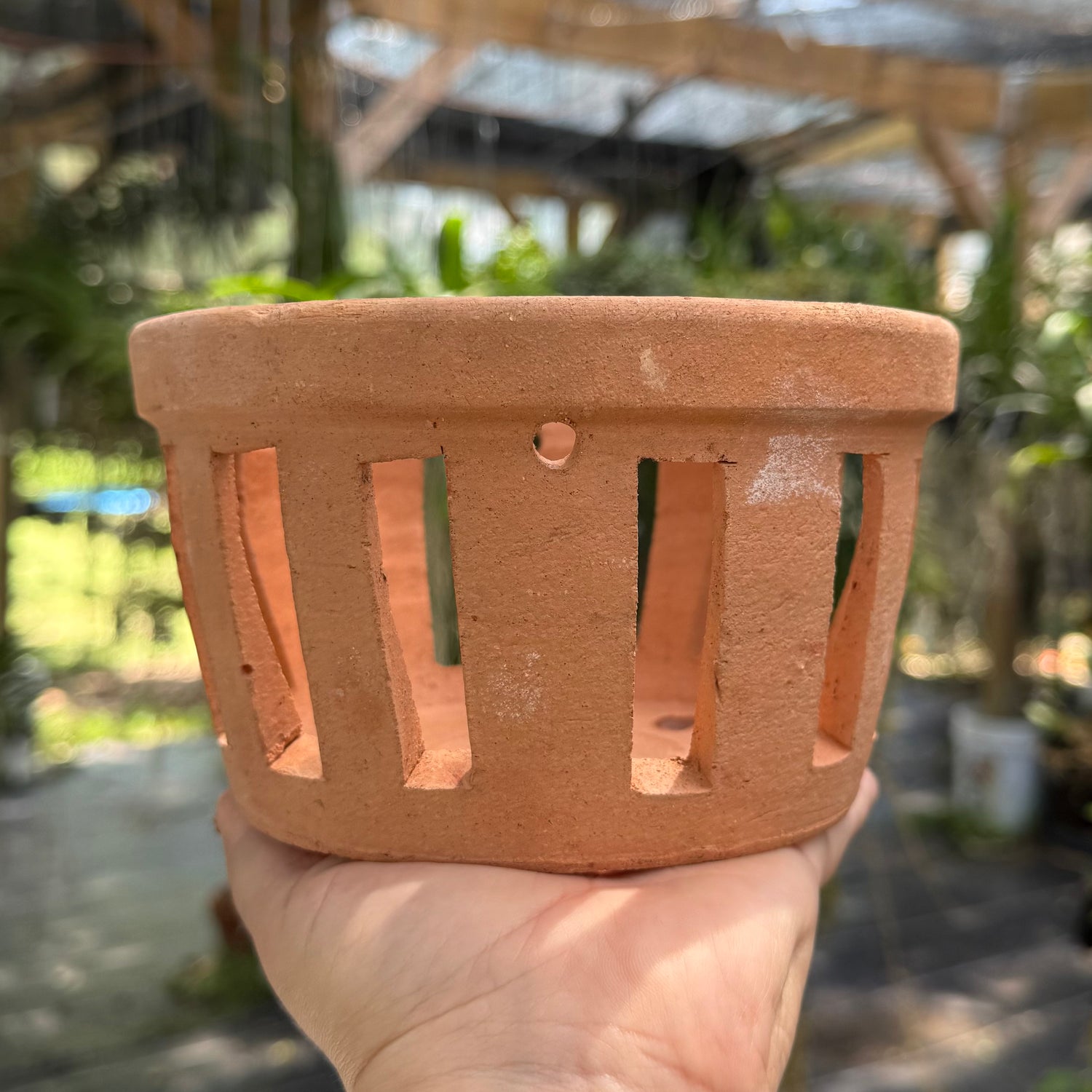 6” Clay Orchid Pots with holes- Various Designs