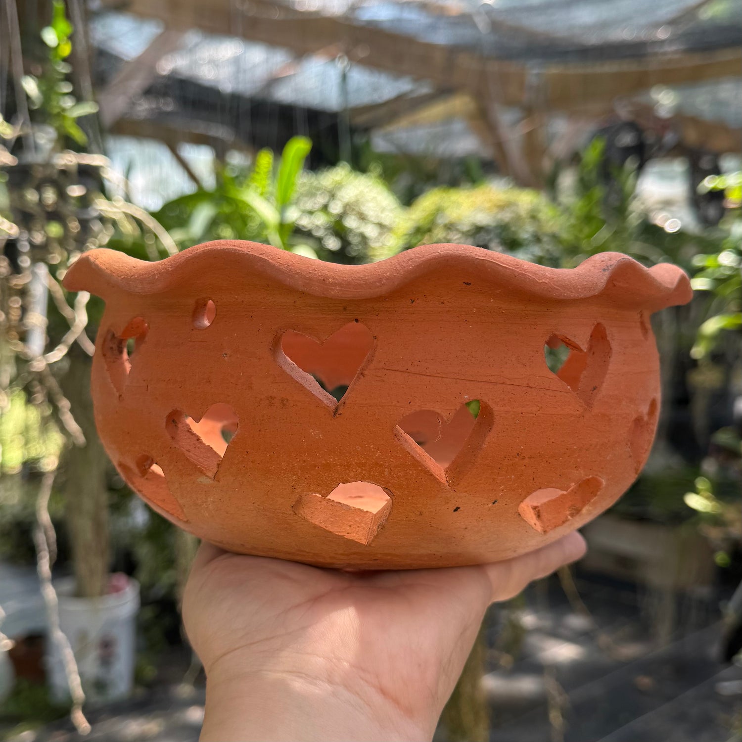 8 clay pots for plants Terra Cotta Orchid Pots Various Designs – LadyVanda