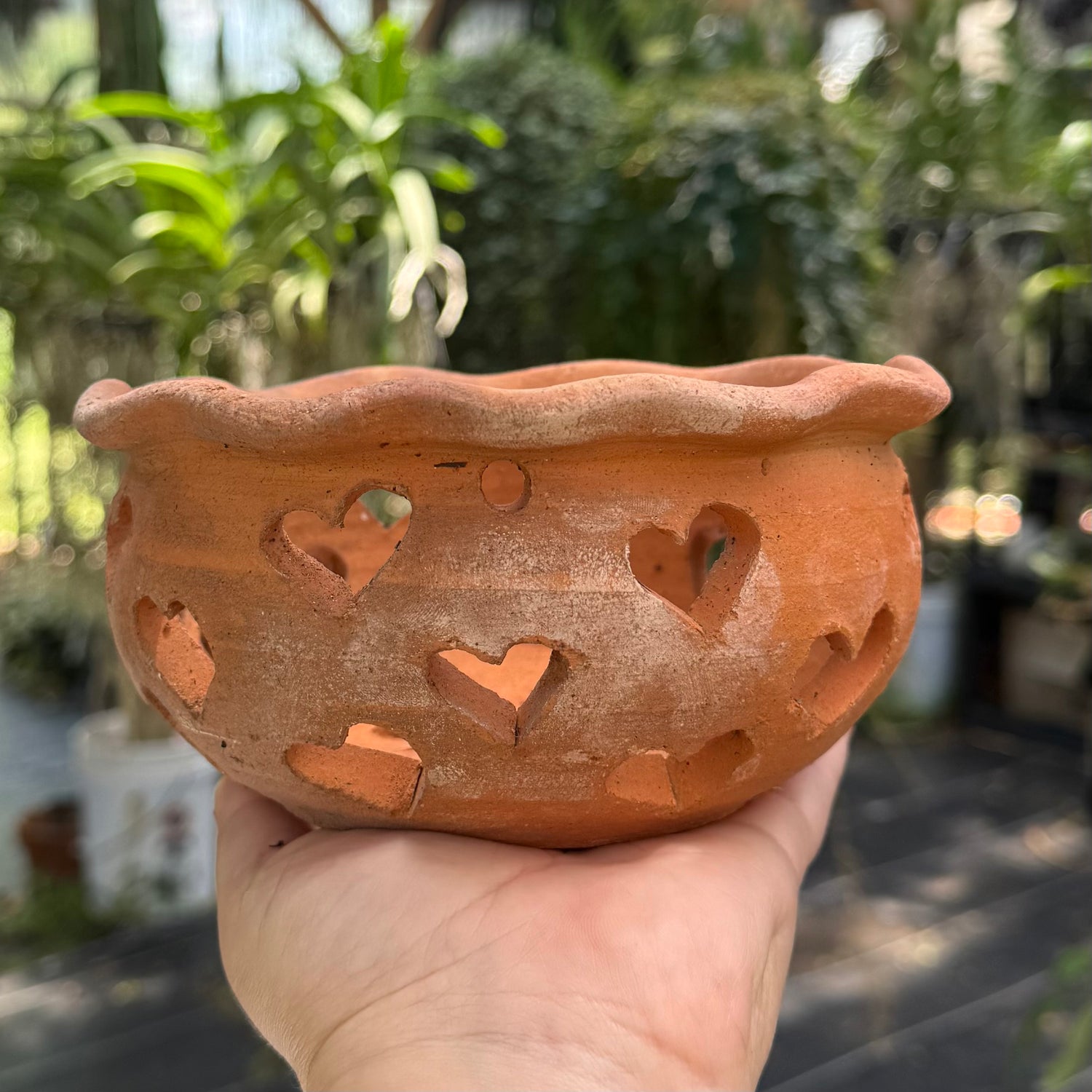 6” Clay Orchid Pots with holes- Various Designs