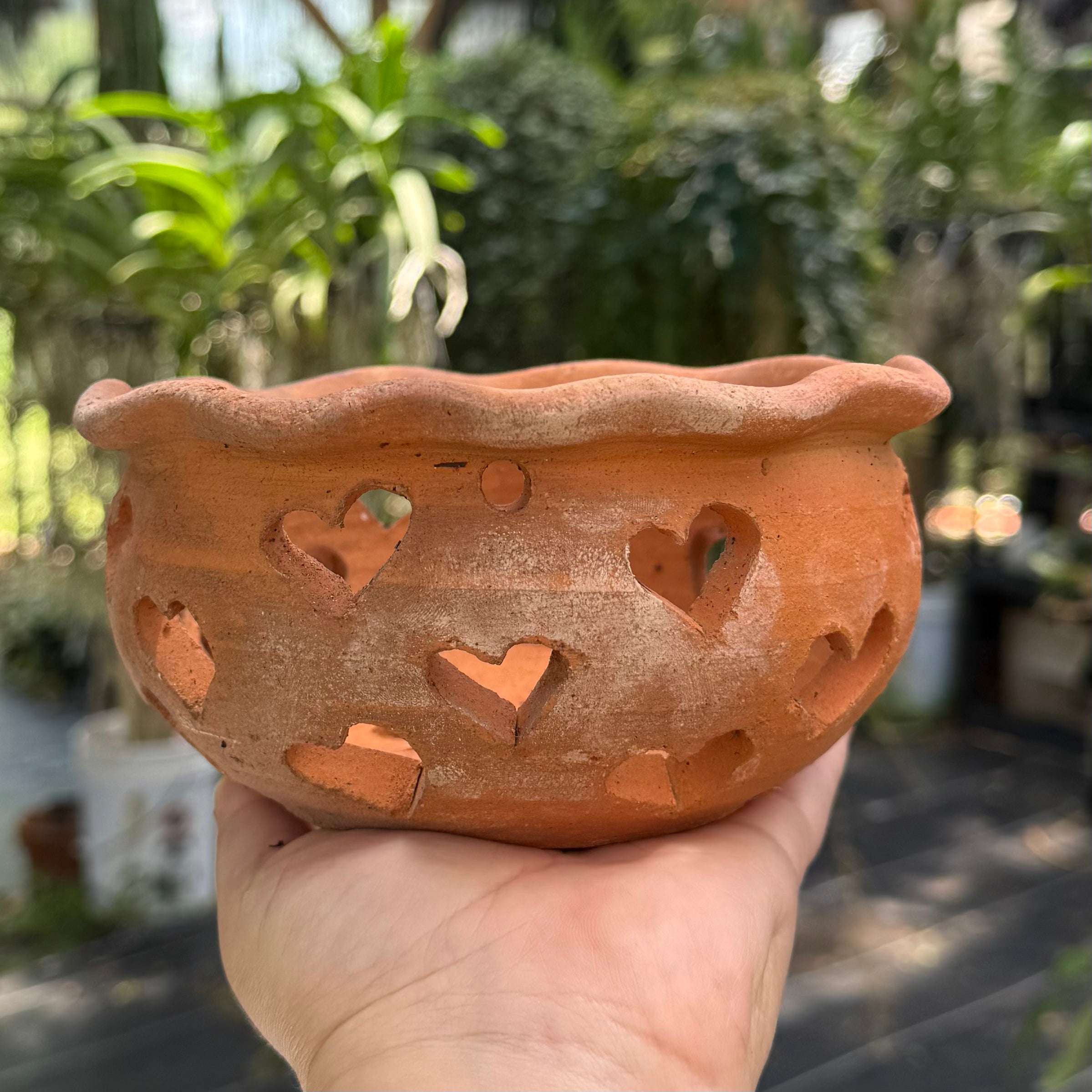 6” Clay Orchid Pots with holes- Various Designs