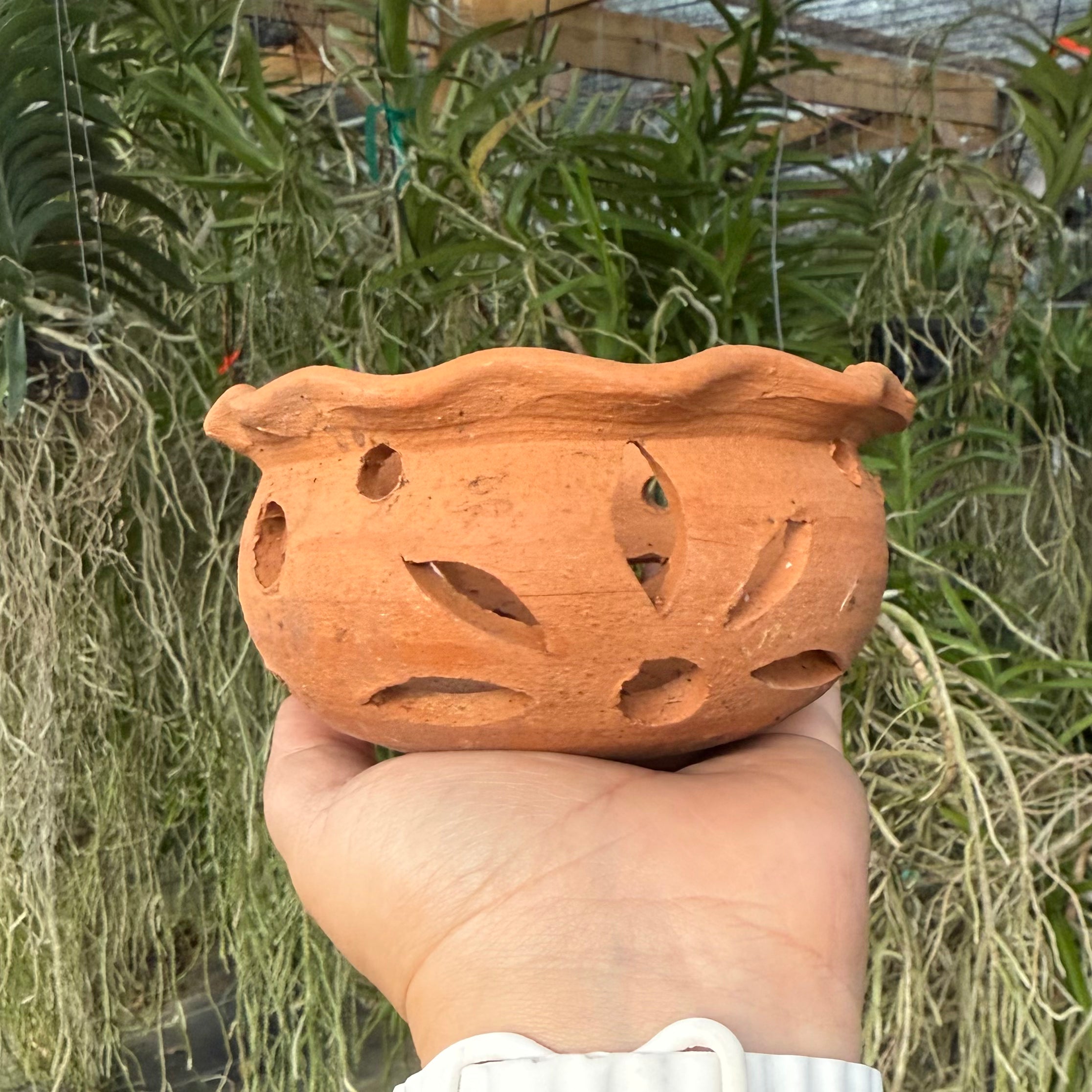 4” Clay Orchid Pots with holes- Various Designs
