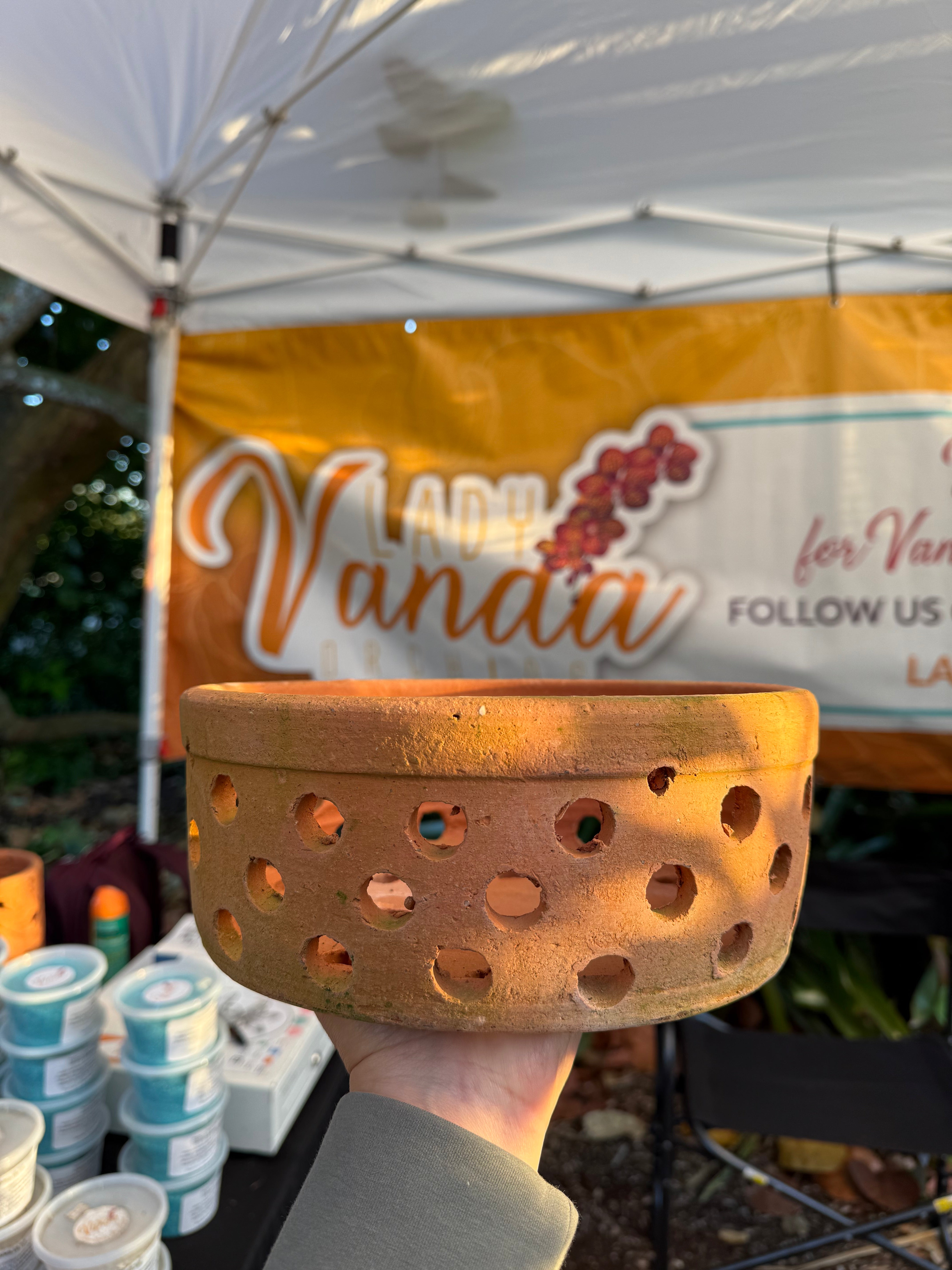 Larger Clay Pots 10”+