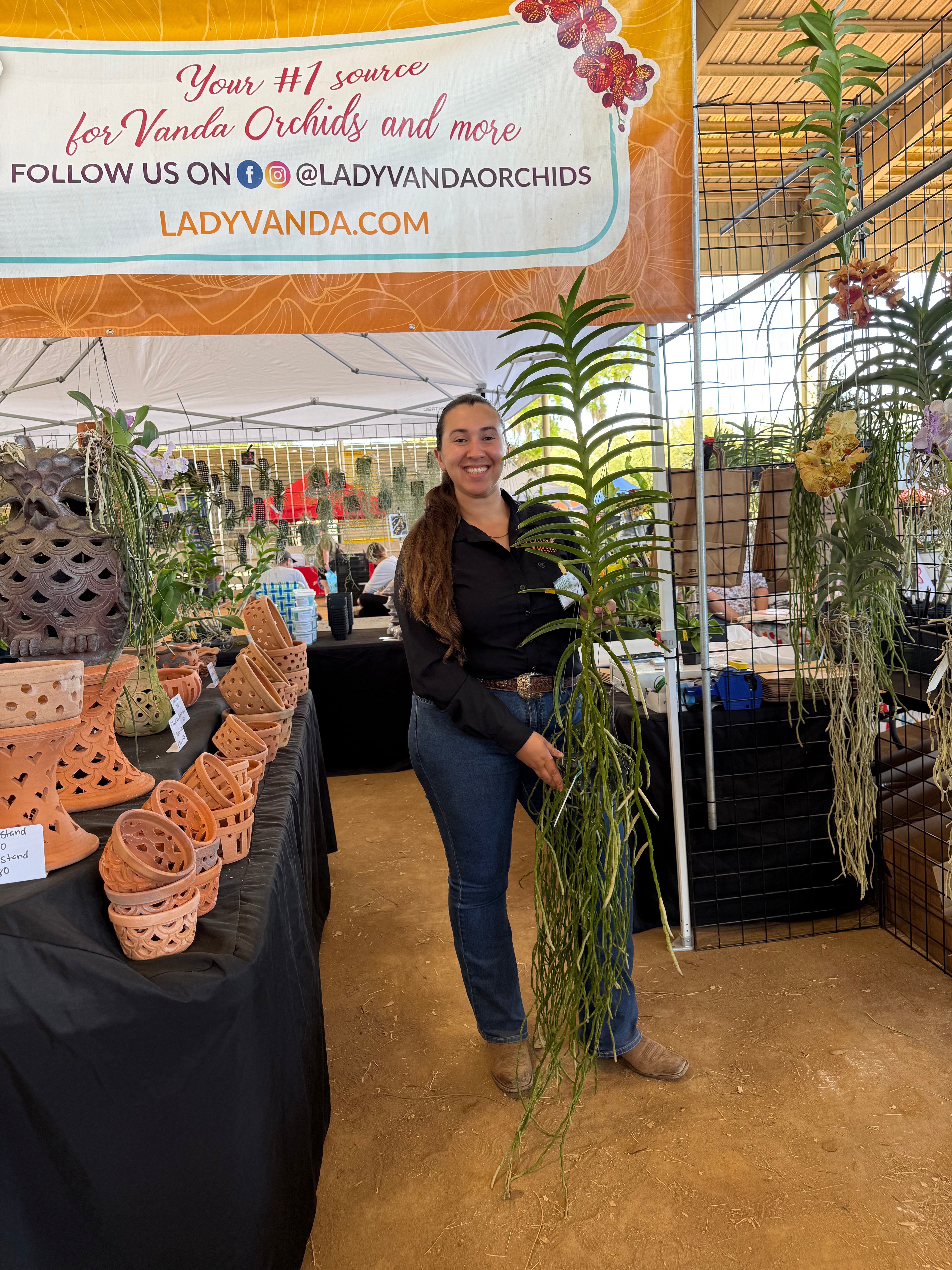 Vanda Violeta 'Banjong'- Fragrant Vanda