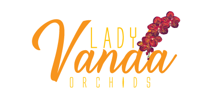 LadyVanda